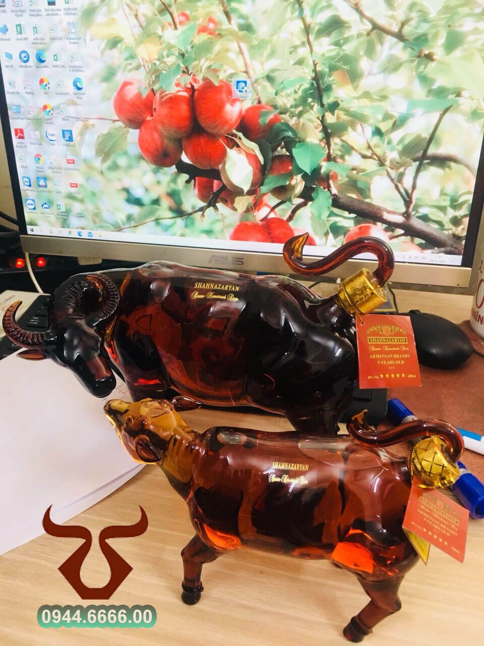 Rượu con Trâu Nga Shahnazaryan Trâu Việt Nam